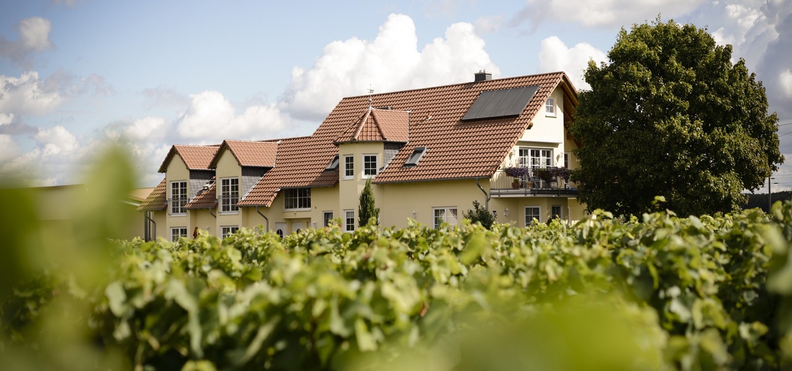 Weingut Otto Becker_Gebäude, © Weingut Otto Becker