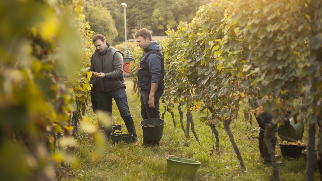 Weingut Karl May_Winzer 2, © Weingut Karl May