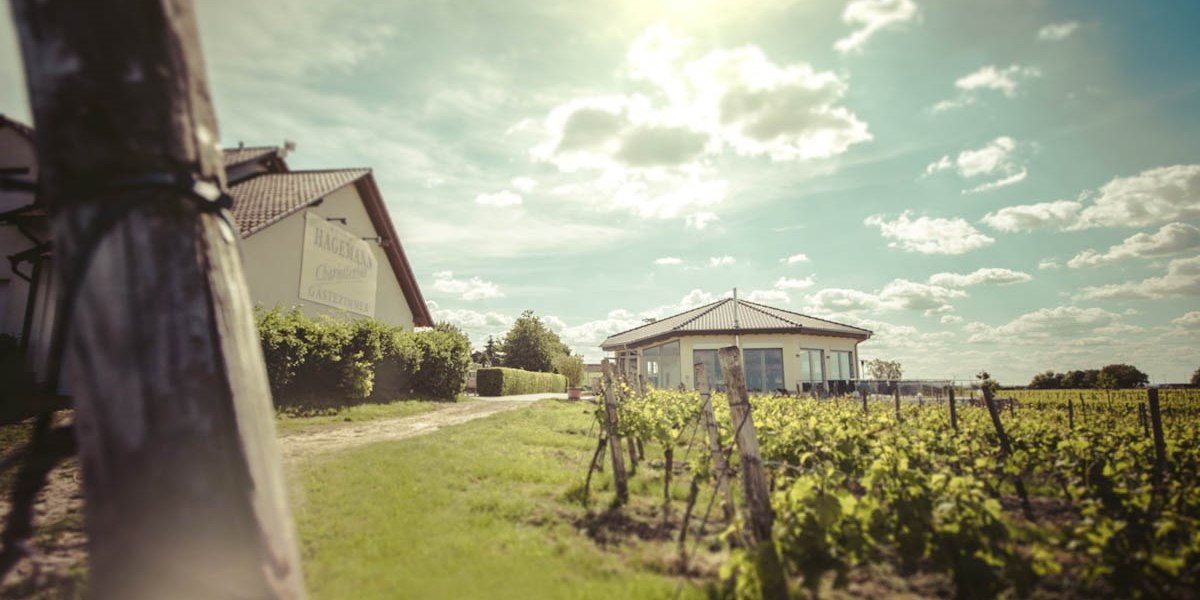 buitenkant-vinotheek-en-pension, © Weingut Hagemann