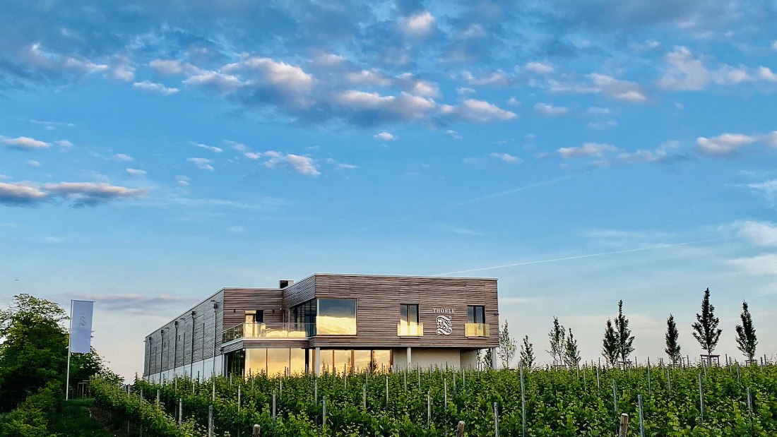 Weingut Thörle_Gebäude, © Weingut Thörle