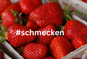 Erdbeeren © Rainer Oppenheimer/Stadt Ingelheim
