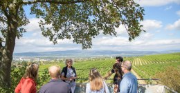 There are wonderful vantage points along the Wine Mile from which you can enjoy the magnificent panorama to the full. © Angelika Stehle/IKuM GmbH
