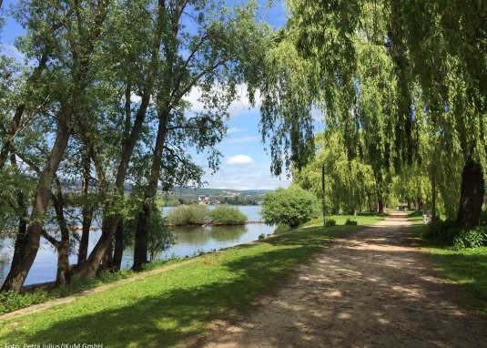 Rheinauen in Ingelheim © Petra Julius/Stadt Ingelheim