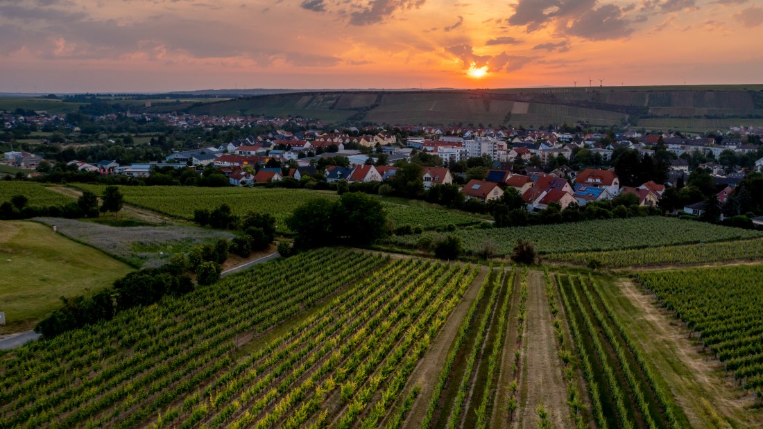 Nierstein Paterberg-DJI_0816-276, © Torsten Silz