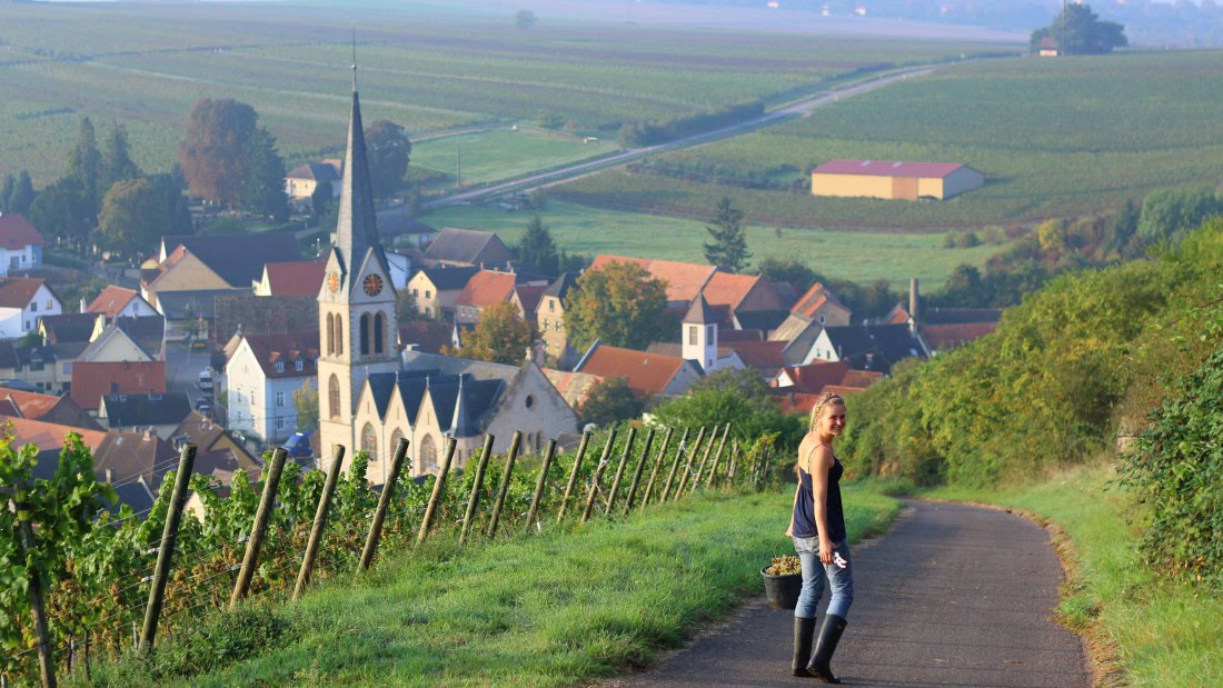 Bunn2, © Weingut Bunn Strebel