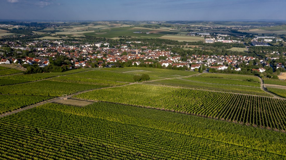 Nieder-Olmer Klosterberg