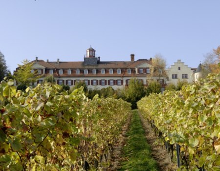 4Schloss_front, © Weingut Schloß Westerhaus