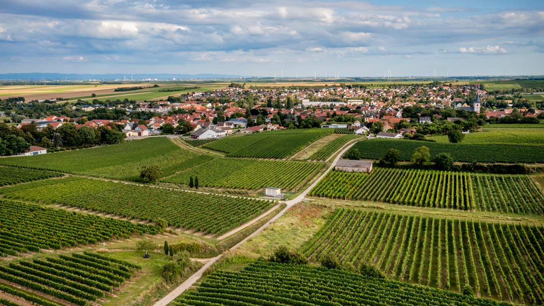 Westhofener Steingrube