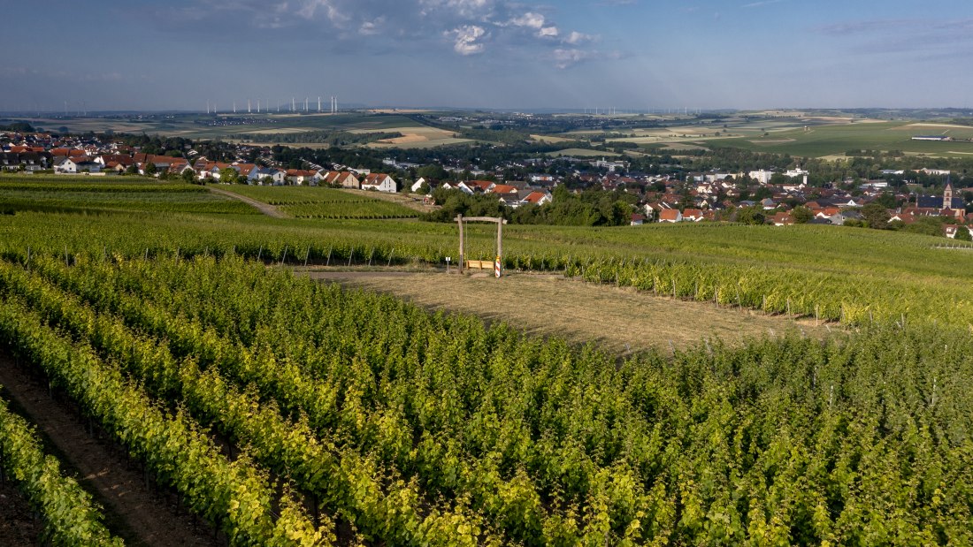 Nieder-Olmer Klosterberg