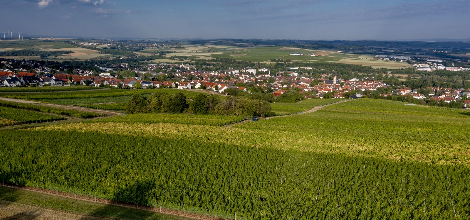 Nieder-Olmer Klosterberg