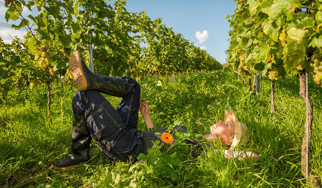 grueneberufe-wijnmaker_7328_web, © Weingut Schönhals