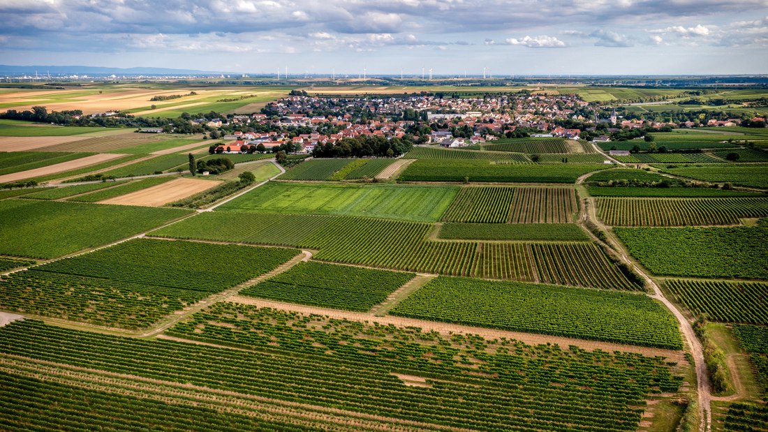 Westhofener Steingrube