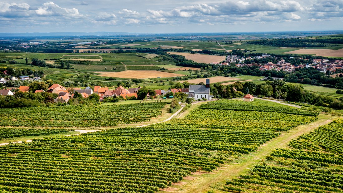 Mölsheimer Zellerweg am Schwarzen Herrgott