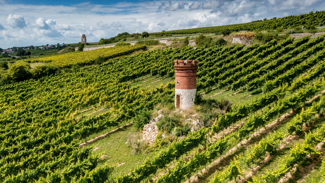 Mölsheimer Zellerweg am Schwarzen Herrgott