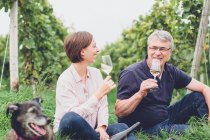 Lebensfreude im Glas, © Weingut Hauck