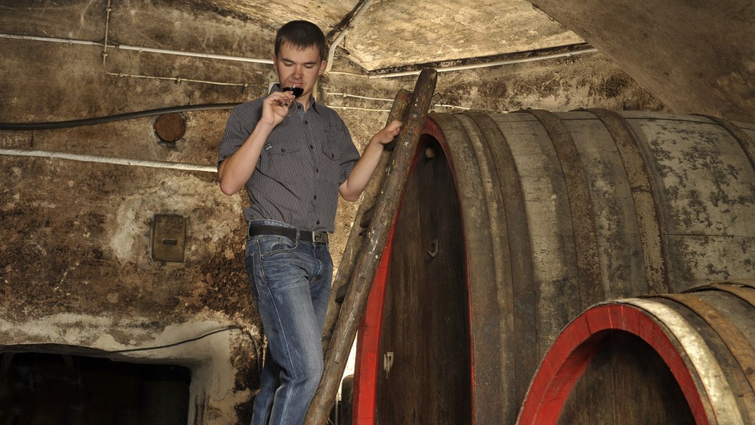 Weingut Wartsteigerhof_Kellermeister Daniel Friederich, © Weingut Wartsteigerhof