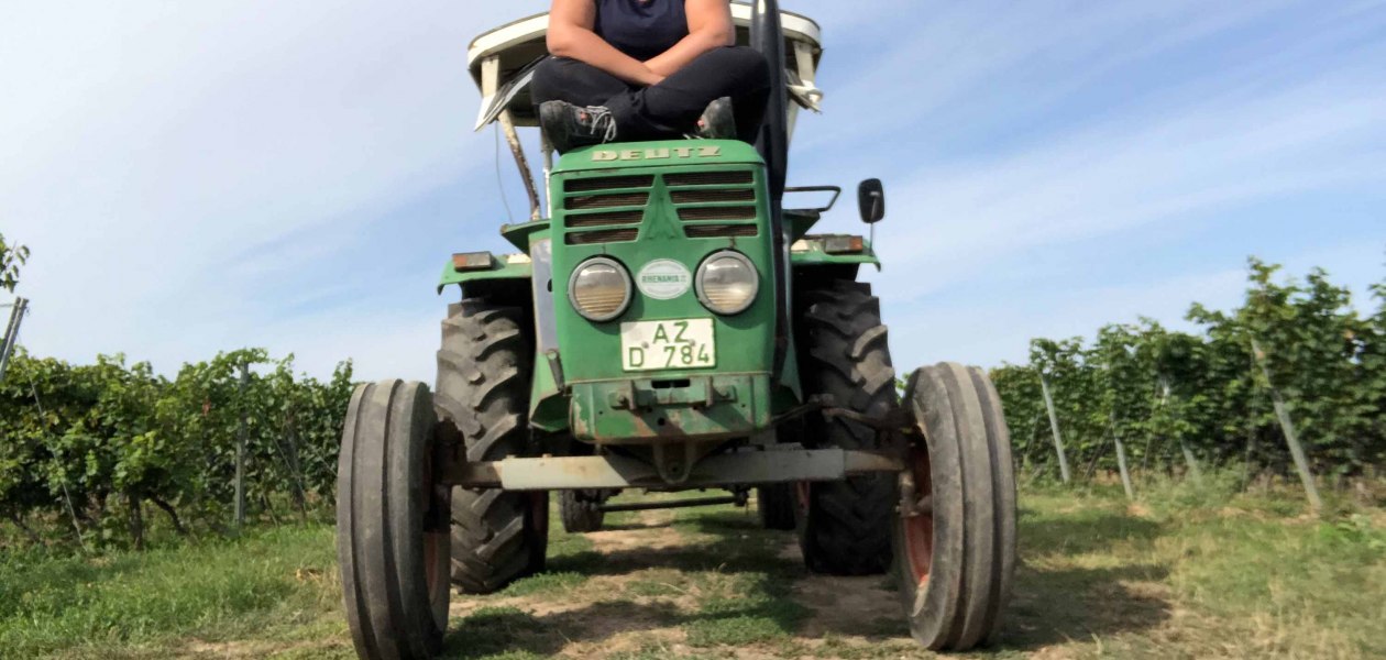 winery-bender-diana_2, © Weingut Bender