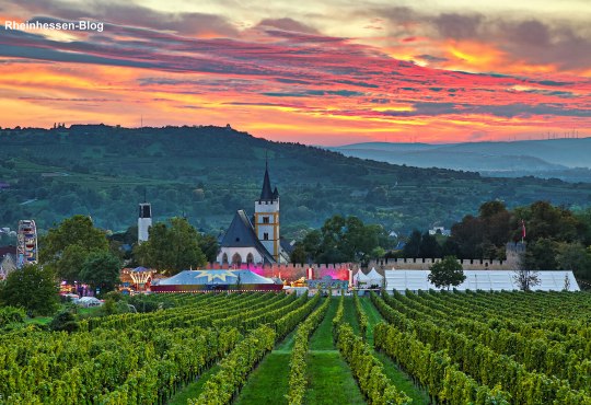 Rotweinfest Ingelheim, © Rainer Oppenheimer/Stadt Ingelheim