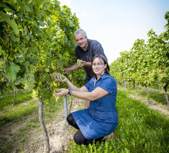 05102014_weingut-best-2233-683x1024, © Weingut Helmut Best