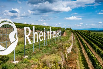 Gundersheimer Höllenbrand