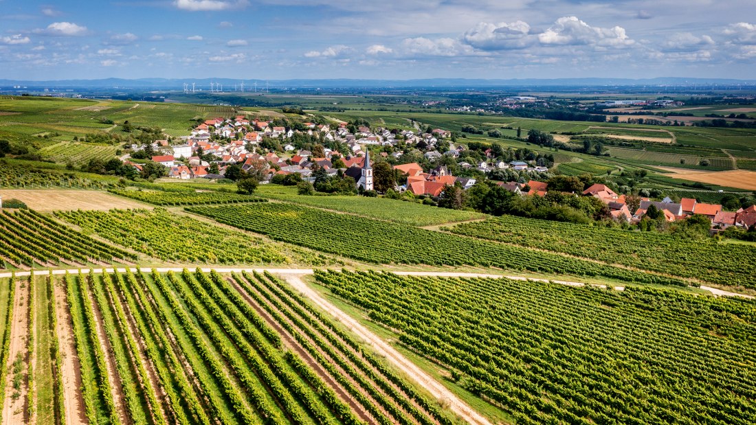 Mölsheimer Zellerweg am Schwarzen Herrgott