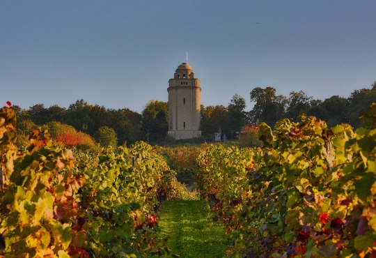 Bismarck tower with vineyards, © Rainer Oppenheimer