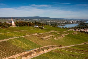 Binger Kirchberg with St. Rupert's monastery