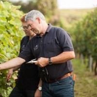 Dr. Roland und Peter Hinkel im Weinberg