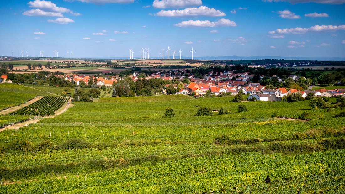 Dittelsheimer Geiersberg