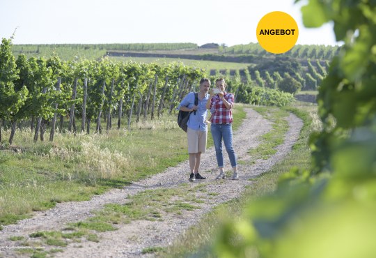 Wandern in Ingelheim, © Angelika Stehle/Stadt Ingelheim