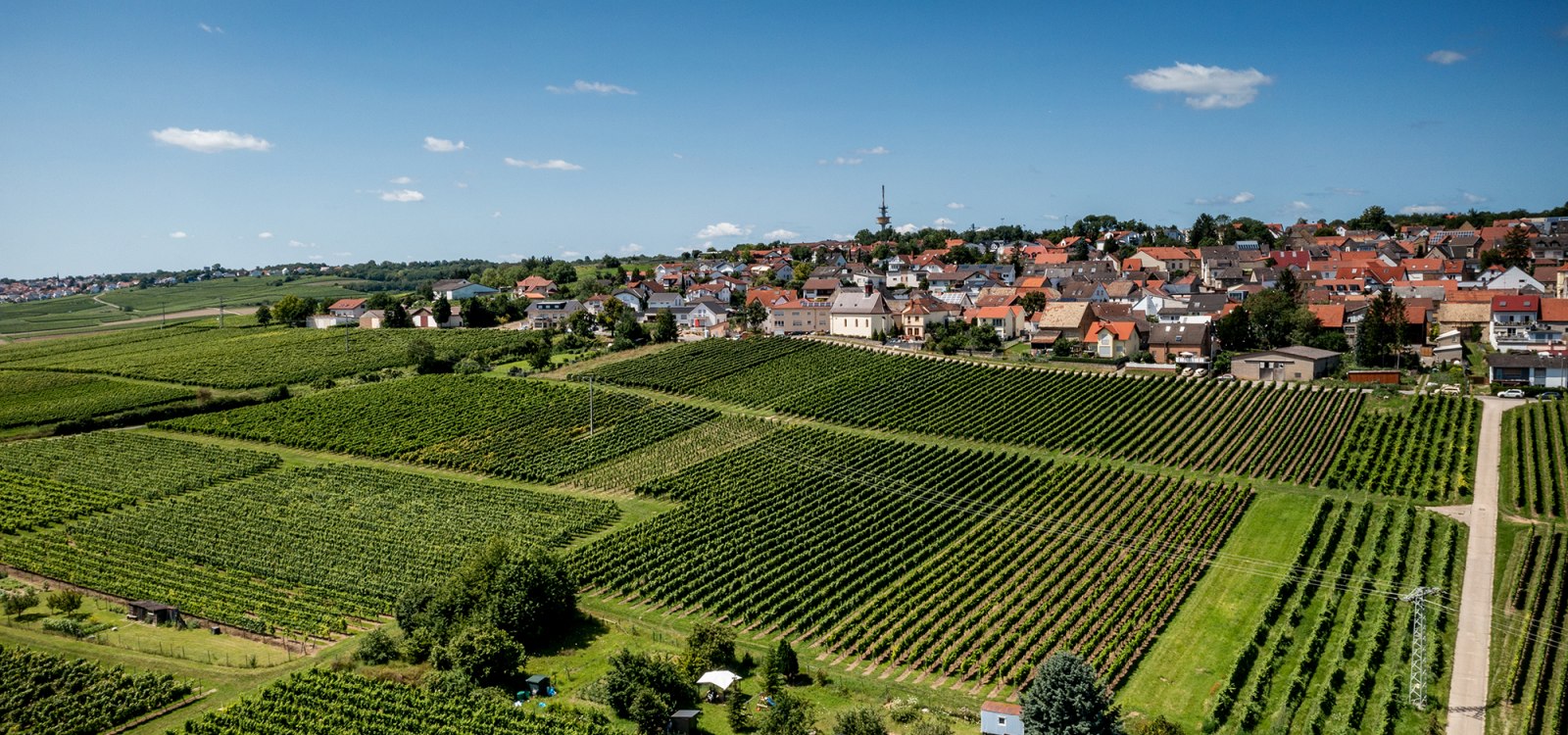 Ober-Olmer Kapellenberg