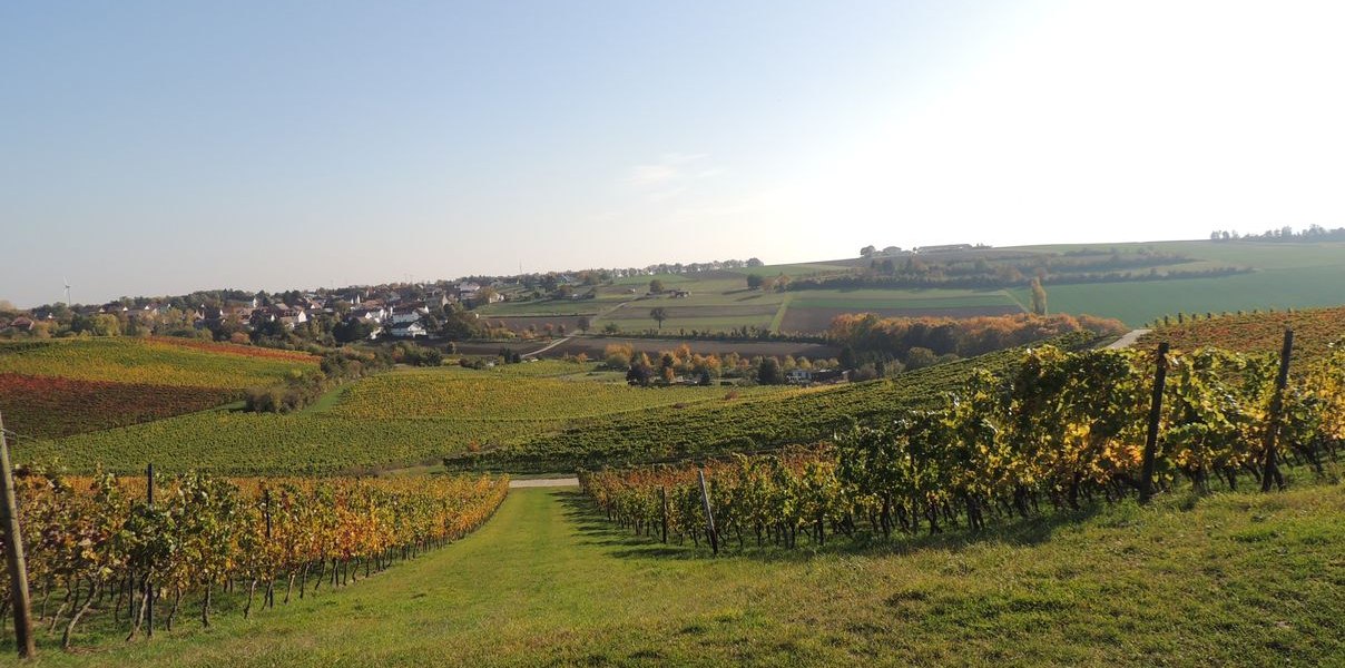 Dolgesheim_i, © Weingut Seck