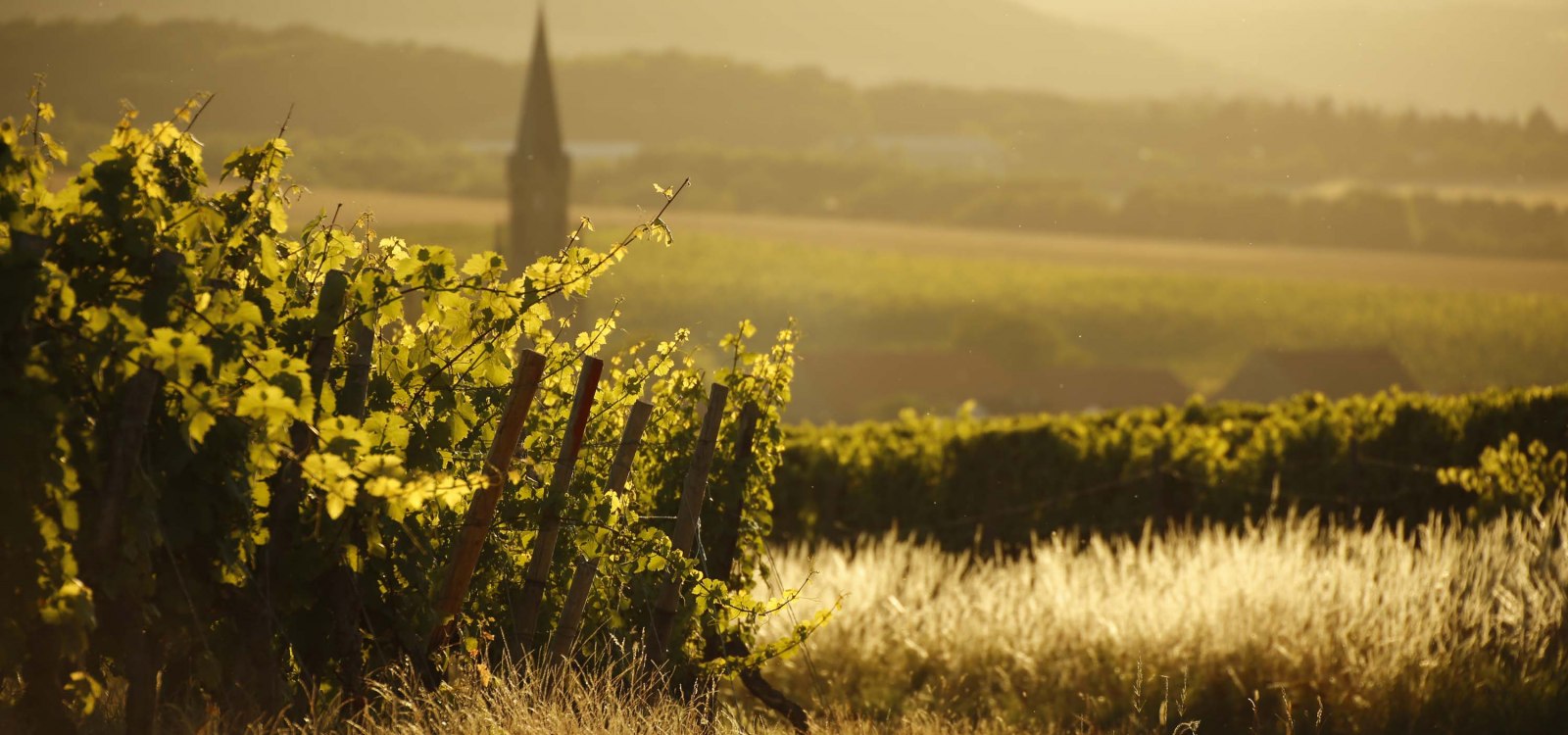 stone-bockenheim_2i, © Weingut Steitz