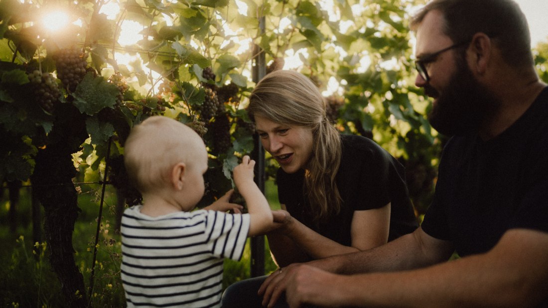 Ökologischer Weinbau Huster_Familienweingut Huster, © Ökologischer Weinbau Huster