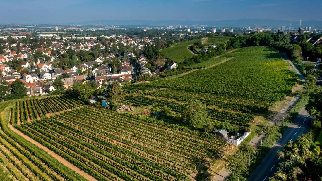 Hechtsheimer Kirchenstück