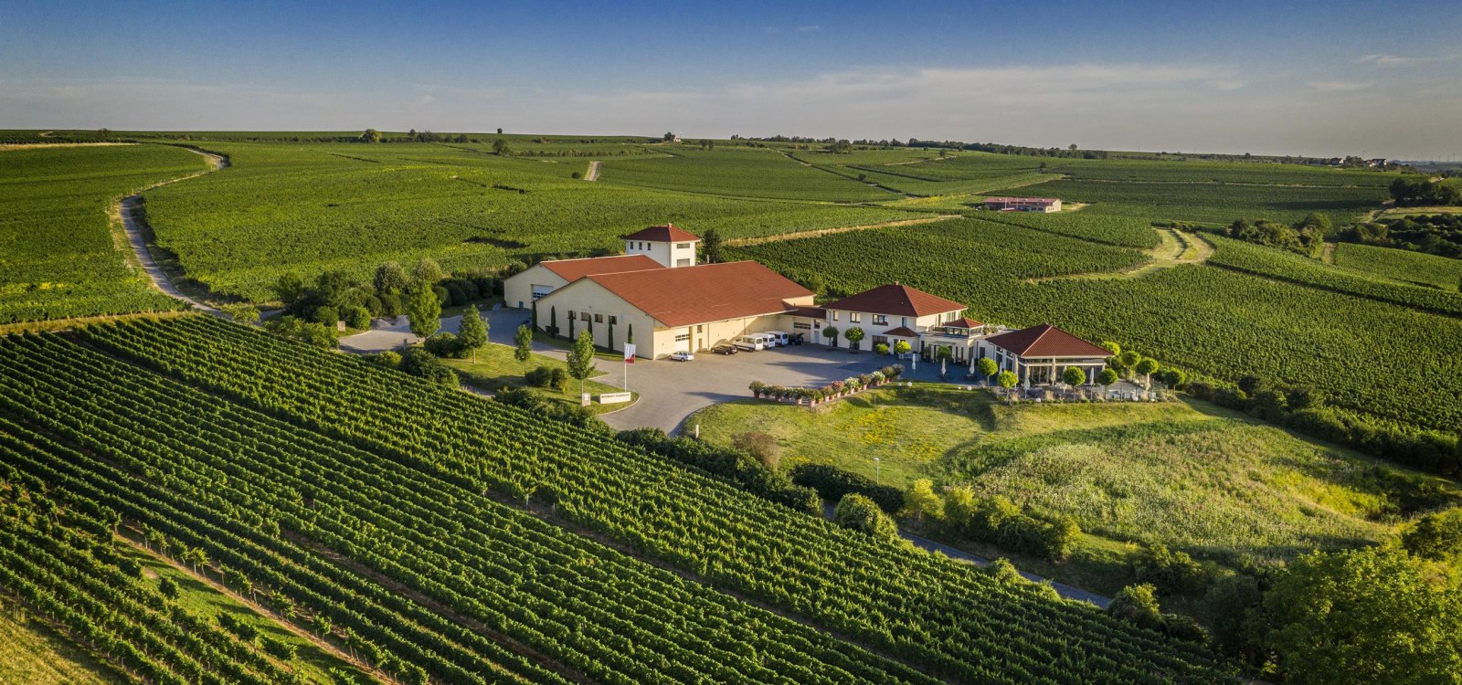 Weingut Raddeck Nierstein