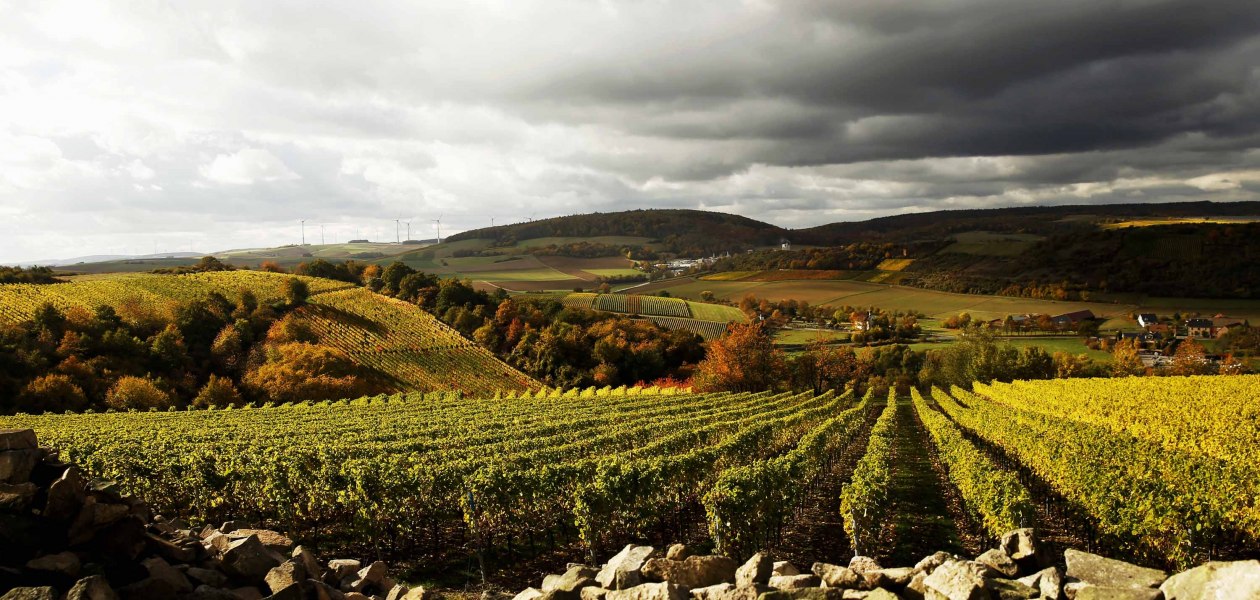 neu-bamberg-heerkretzi, © Weingut Steitz