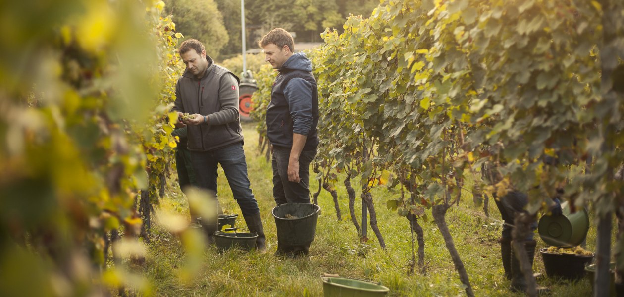 Weingut Karl May_Winzer 2, © Weingut Karl May