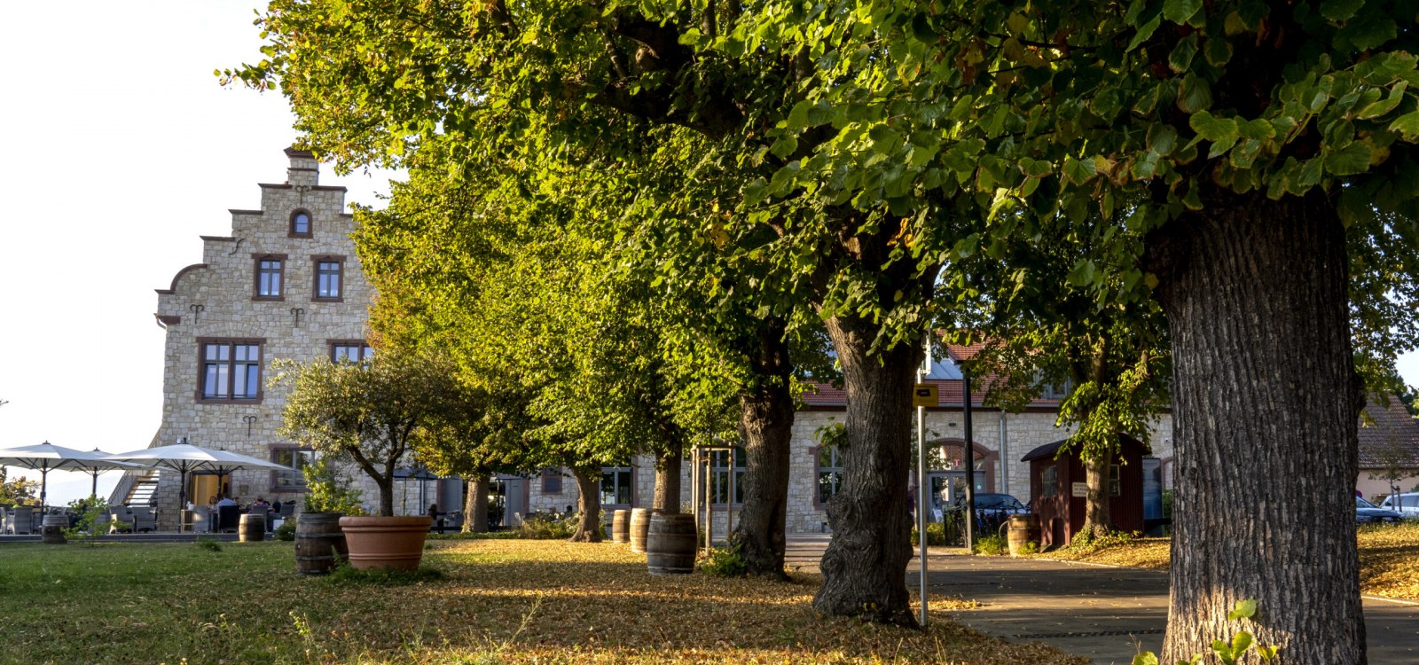 Winzerkeller im Herbst, © Andrea Enderlein/IKuM GmbH