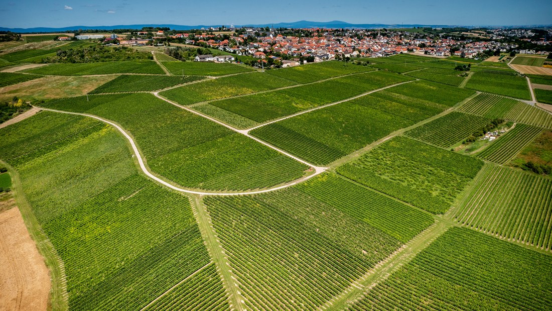 Ober-Olmer Kapellenberg