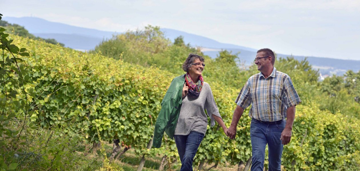 winery-stefan-liver, © Weingut Stefan Leber