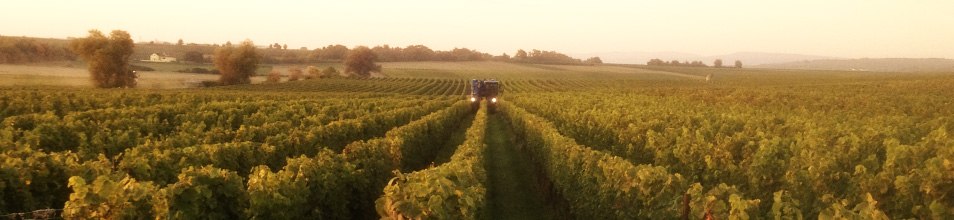 Winery Beyer-Bähr - Landscape, © Weingut Beyer-Bähr