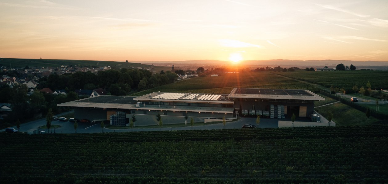 © Weingut Dreissigacker