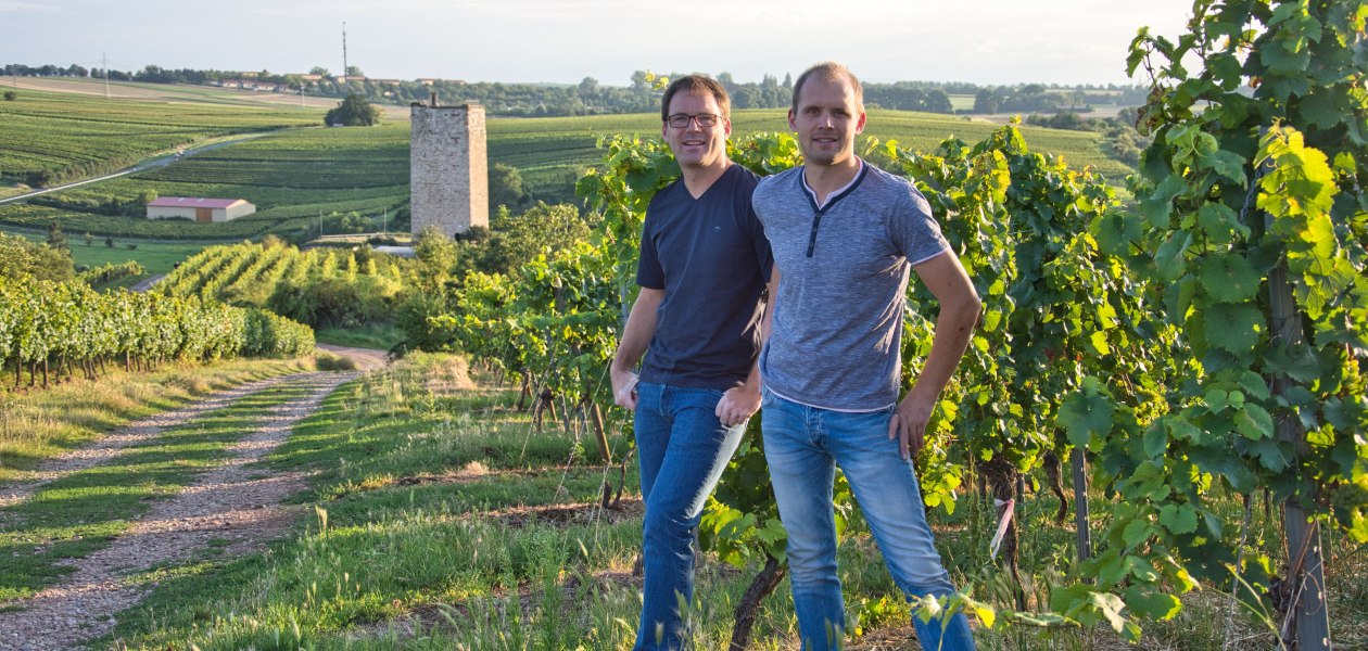 Weingut Georg Gustav Huff_Winzer im Weinberg, © Weingut Georg Gustav Huff