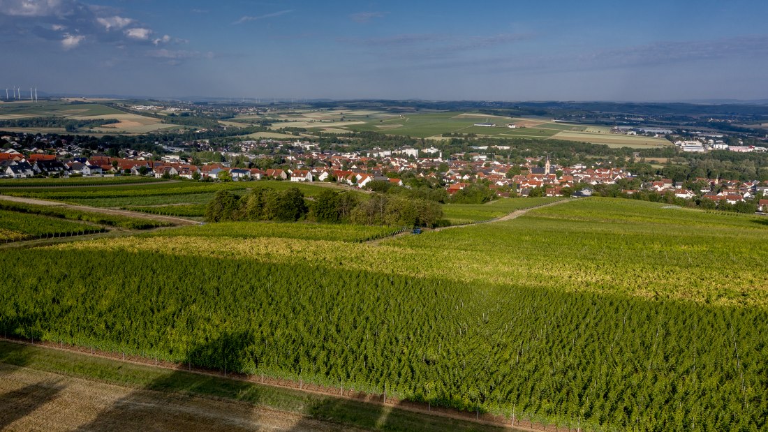 Nieder-Olmer Klosterberg