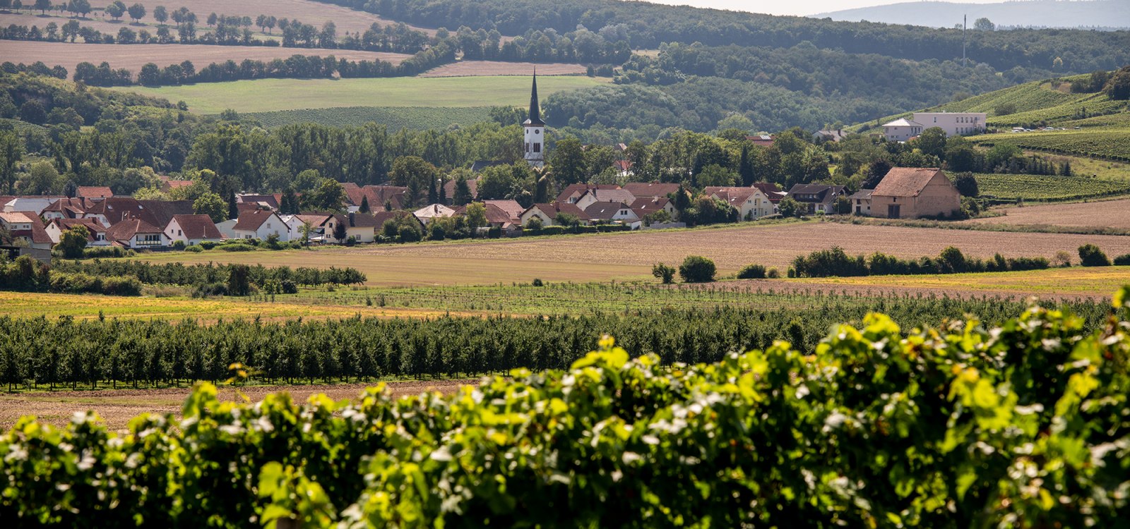 Flonheimer Binger Berg