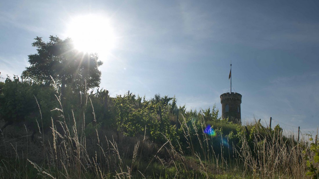 Weingut Heiligenblut_Turm 2, © Weingut Heiligenblut