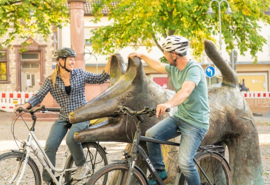 Geführte Radtour in Ingelheim, © Dominik Ketz/RHT GmbH