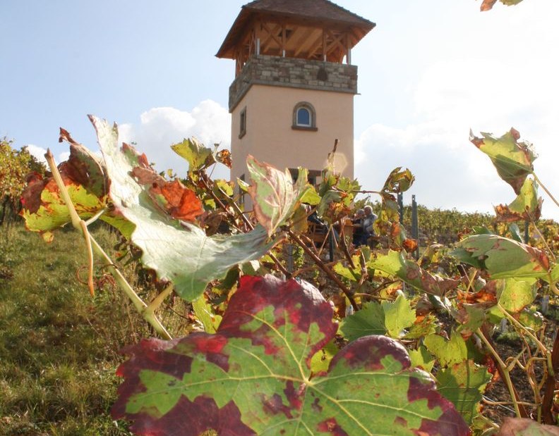 Familienweingut Dechent_Turm_Herbst