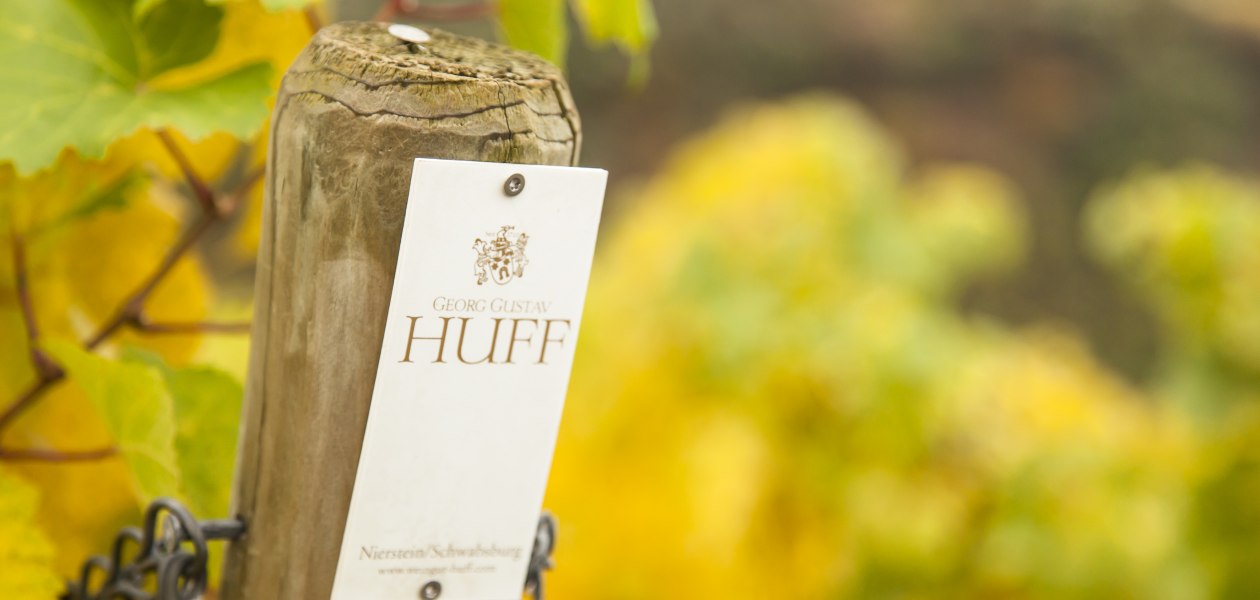 Weingut Georg Gustav Huff_Weinberg, © Weingut Georg Gustav Huff